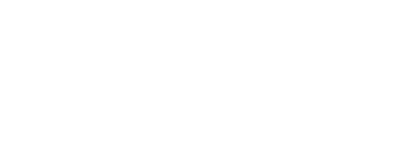 Vytautas Magnus University